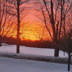 Meet your Posher, Jan